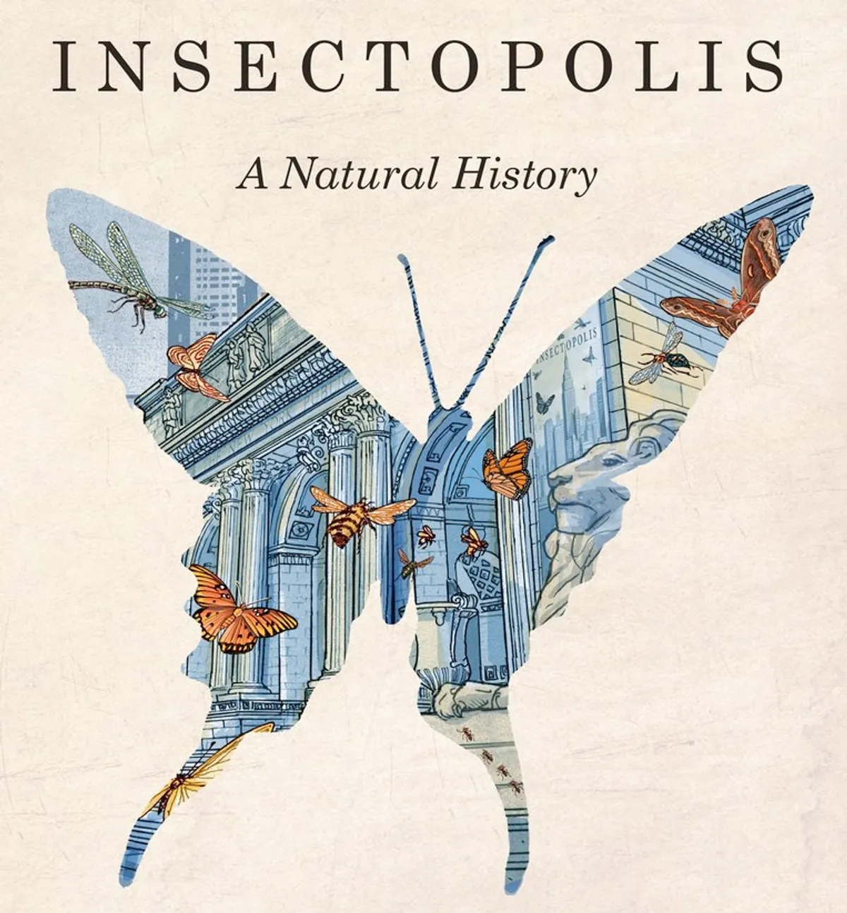 Insectopolis