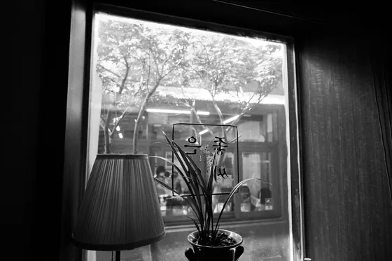 Window