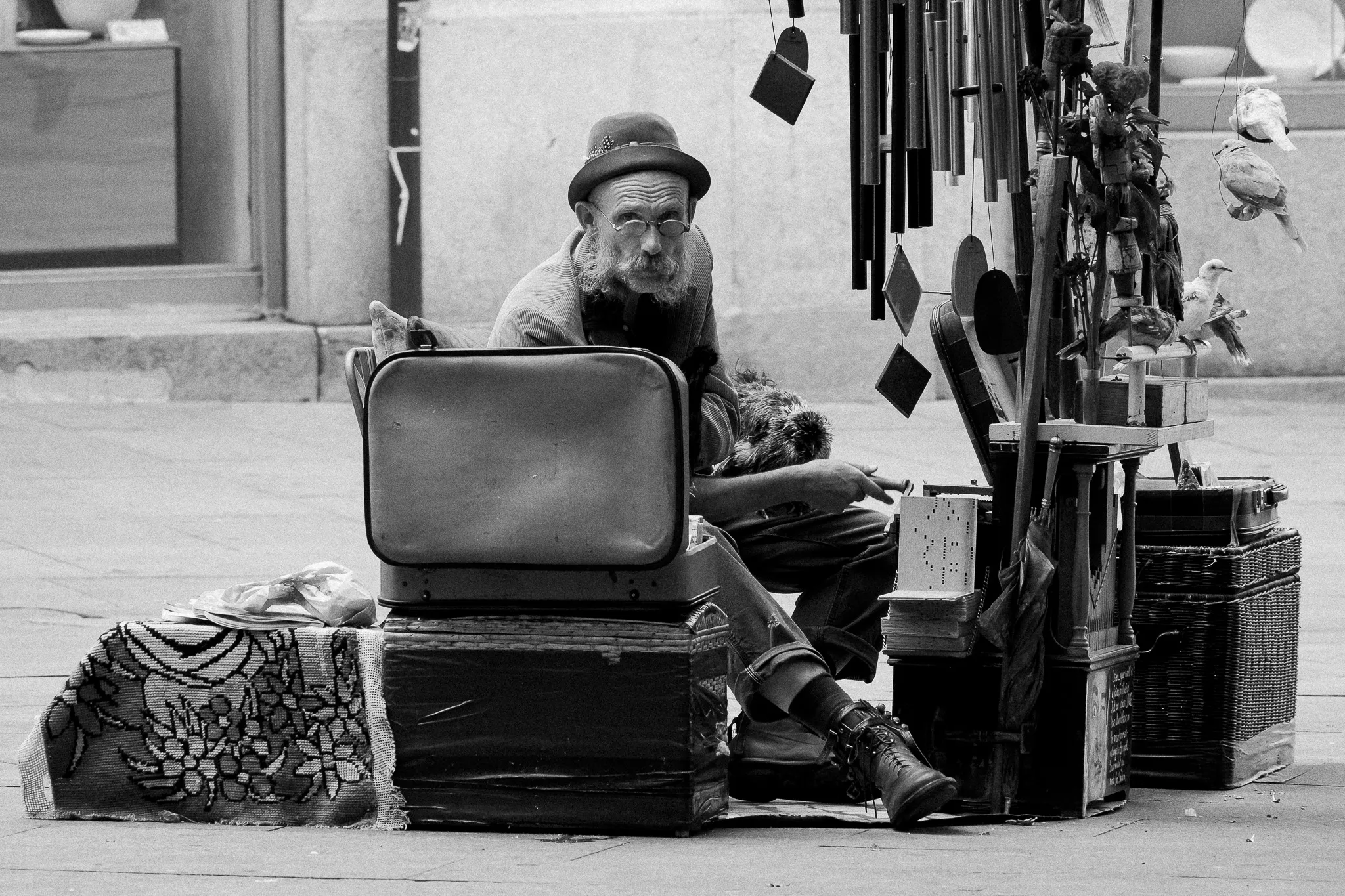 Organ Grinder