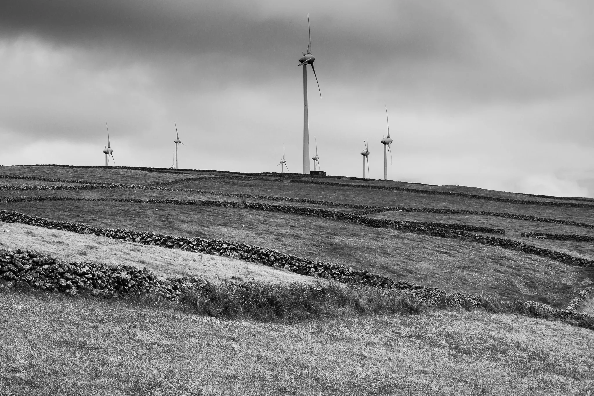 Wind